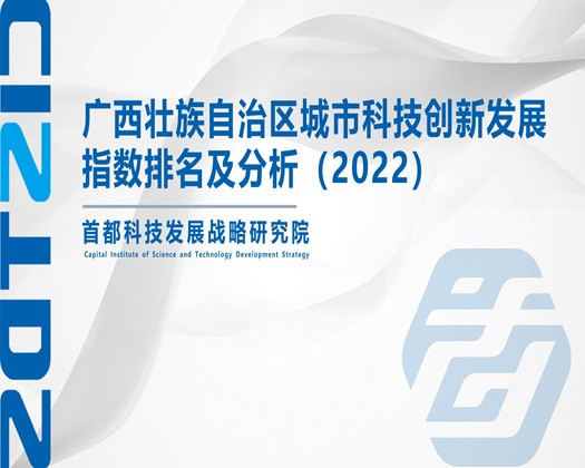 美国老骚逼【成果发布】广西壮族自治区城市科技创新发展指数排名及分析（2022）